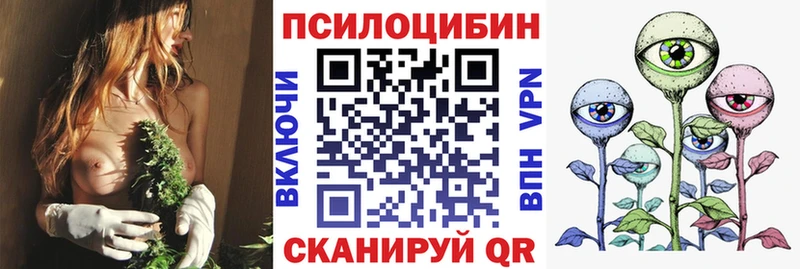 где найти наркотики  Железногорск-Илимский  Галлюциногенные грибы прущие грибы 